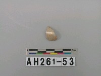 藏品(安平壺腹部殘件)的圖片